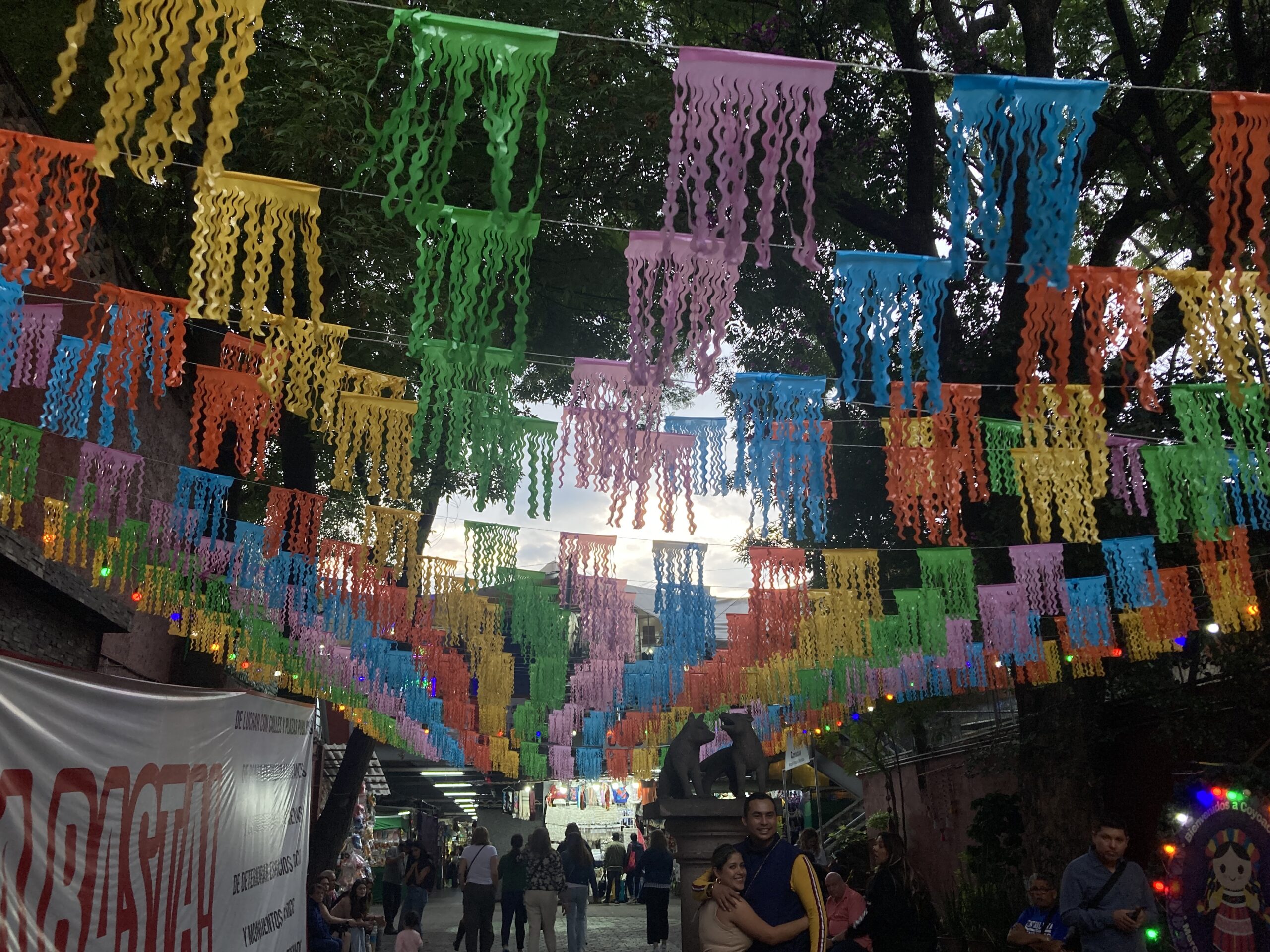 Jenni Arakaki, Papel Picadito