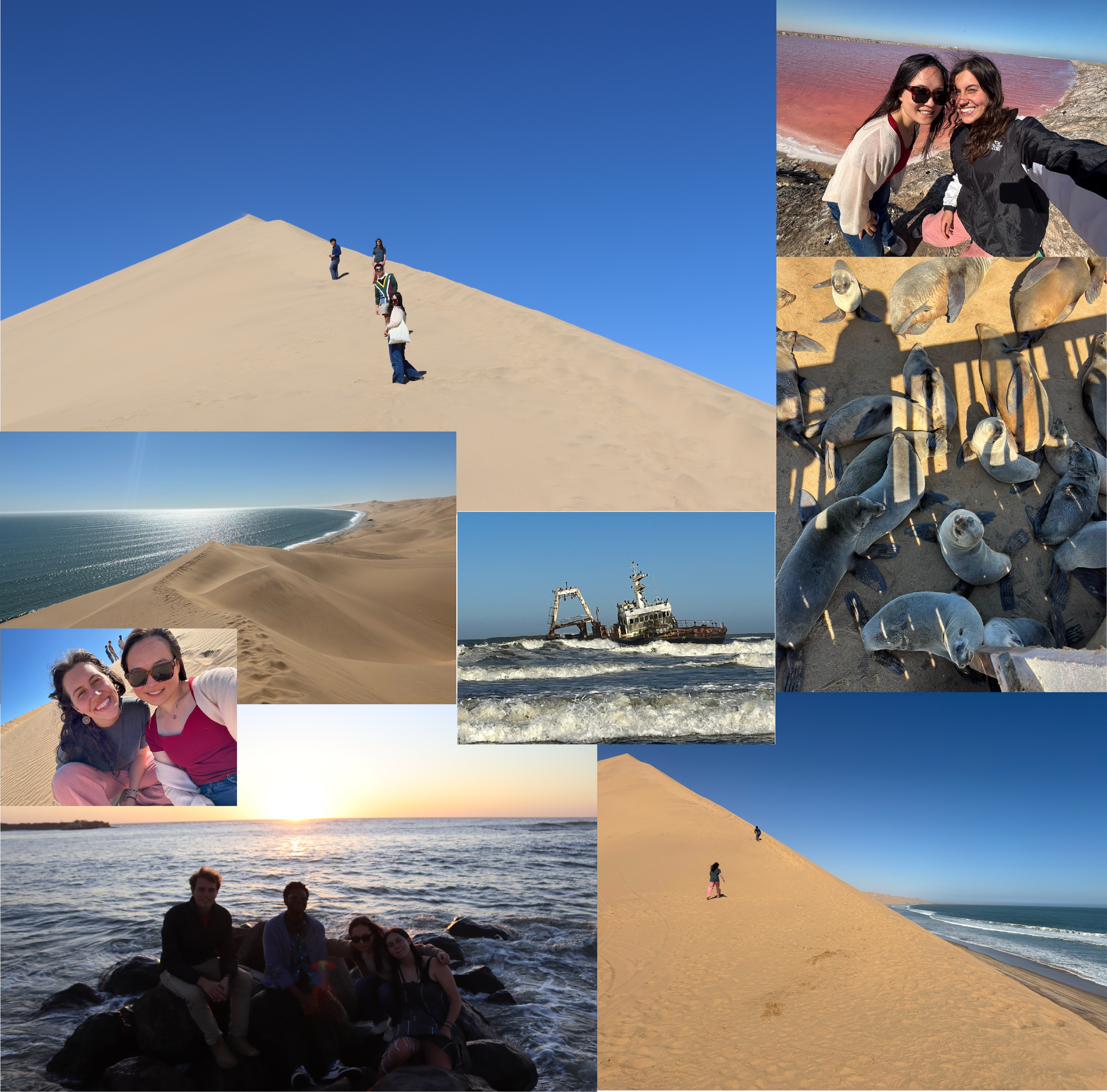 Pictures of the beach and sand dunes.