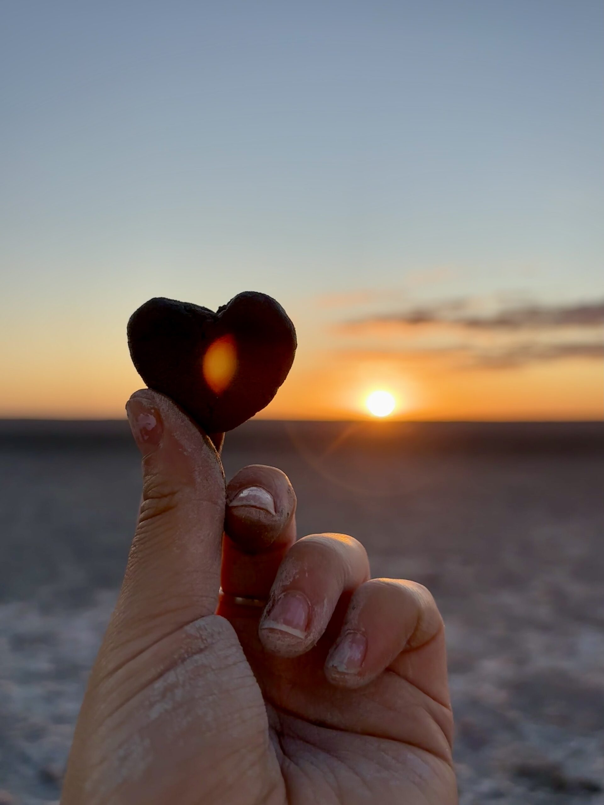 Picture of a sunset with a shell in a heart in front of it.