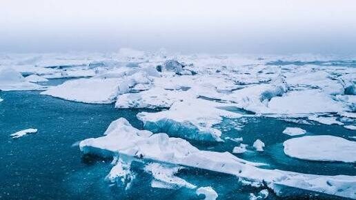 Artic