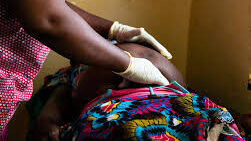 Pregnant women's stomach